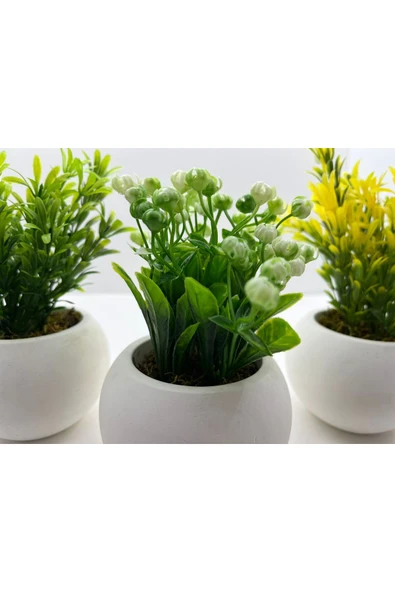 DDTREND Beton Saksıda 3 lü Set Yapay Çiçek Bitki , Gerçek Taş Yosunlu DDBS-01 - Resim 3