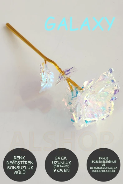 DDTREND Sonsuzluk Gülü Rengarenk Hologramlı Sevgililer Günü Anneler Günü Hediyesi 24 Cm 1 ADET - 5