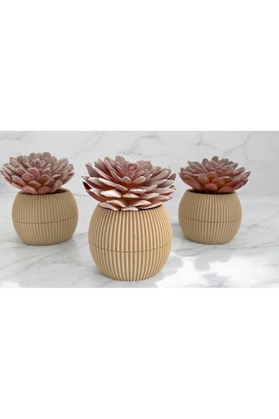 DDTREND Yapay Kaktüs Sempervivum Tomentosum Sukulent 3'Lü Bej Saksılı Mor Renk 11 cm. - Resim 2