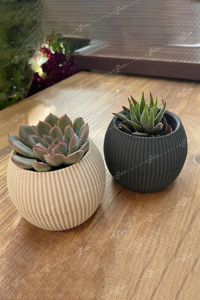 DDTREND 1 Adet 0.15 Litre Mercan No:1 Kaktüs Sukulent Saksı Plastik Saksı 88x68mm -LM - Resim 3