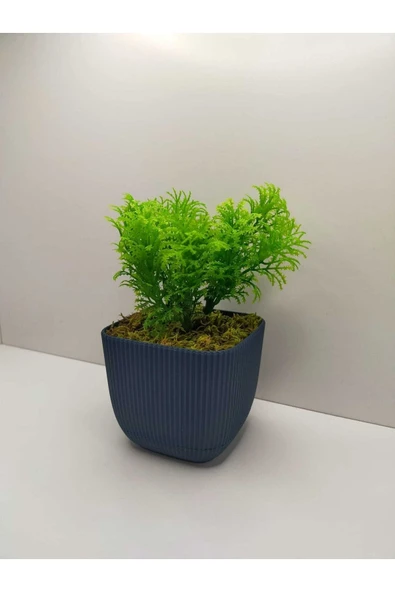 DDTREND Mini Kare Saksıda Çim Yeşili Yapay Çiçek Bitki , Gerçek Taş Yosunlu Banyo Mutfak Masa Çiçeği