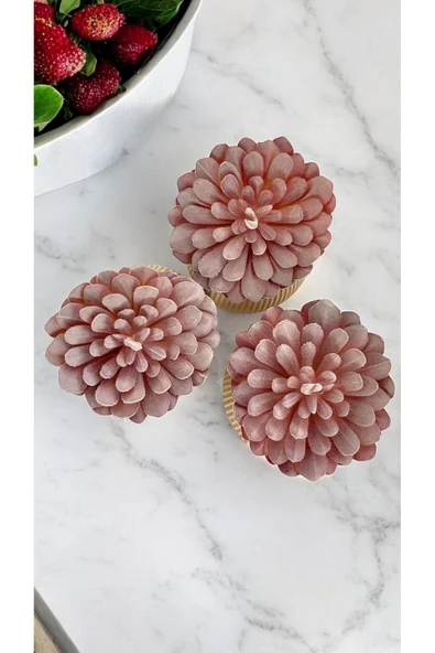 DDTREND Yapay Kaktüs Sempervivum Tomentosum Sukulent 3'Lü Bej Saksılı Mor Renk 11 cm. - Resim 3