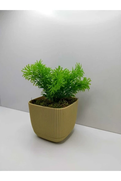 DDTREND Mini Kare Saksıda Çim Yeşili Yapay Çiçek Bitki , Gerçek Taş Yosunlu Banyo Mutfak Masa Çiçeği - 2
