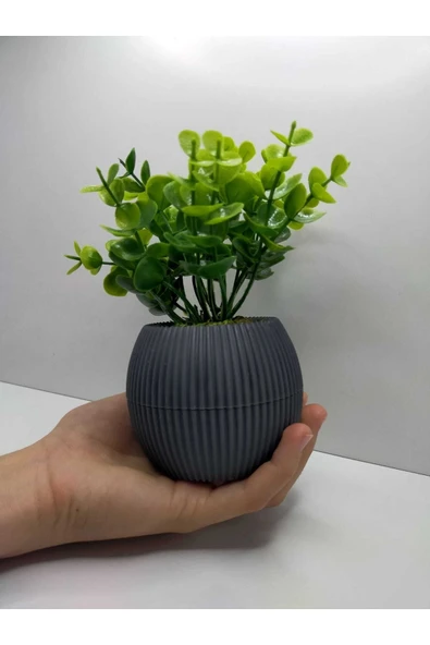 DDTREND Mini Saksıda Yapay Bitki Şimşir Gerçek Taş Yosunlu Toplam 18 Cm Dekoratif Banyo Mutfak Masa Çiçeği - Resim 4