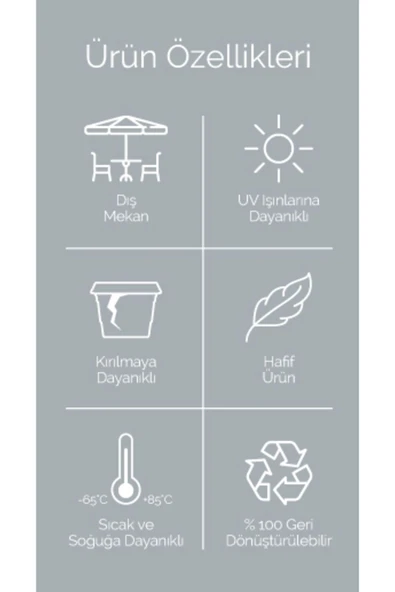 DDPEST 1 Adet 0.15 Litre Mercan No:1 Kaktüs Sukulent Saksı Plastik Saksı 88x68mm-ls - Resim 4