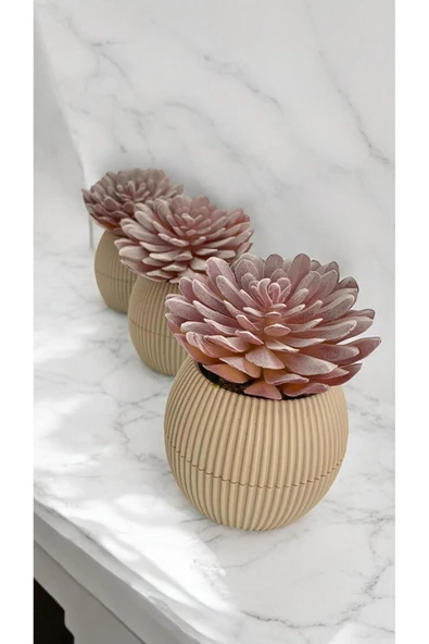 DDTREND Yapay Kaktüs Sempervivum Tomentosum Sukulent 3'Lü Bej Saksılı Mor Renk 11 cm. ürün görseli