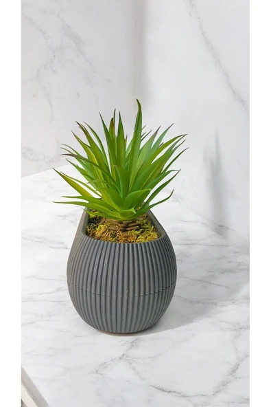 DDTREND Yapay Kaktüs Haworthia Limifolia Sukulent Uzun Gri Saksılı Yeşil Renk 16 cm. - Resim 3