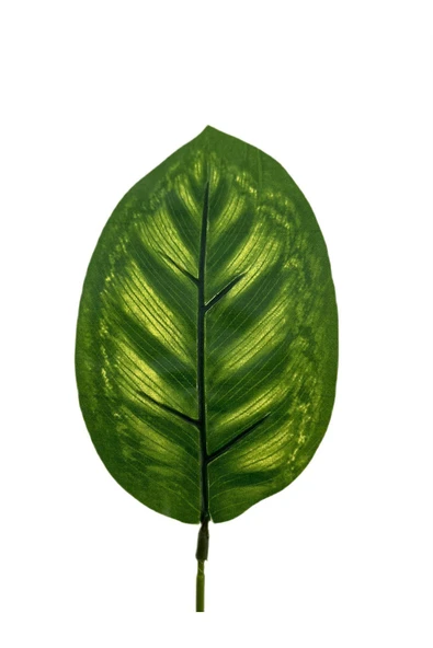 DDPEST Dekoratif Yapay Çiçek 9 Dallı Yapay Çiçek 9 Dal Demet Yapay Yaprak 25 cm-NT - Resim 3