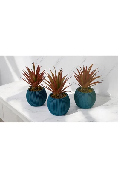 DDTREND Yapay Kaktüs Haworthia Limifolia Sukulent 3'Lü Mavi Saksılı Kahverengi Renk 16 cm. ürün görseli