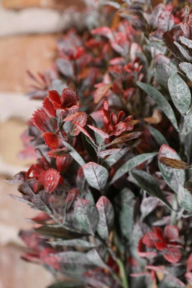 DDPEST Duvar Saksısı Dekoratif Ahşap Saksıda Yapay Çiçek Aranjman DDS-A206 - 5