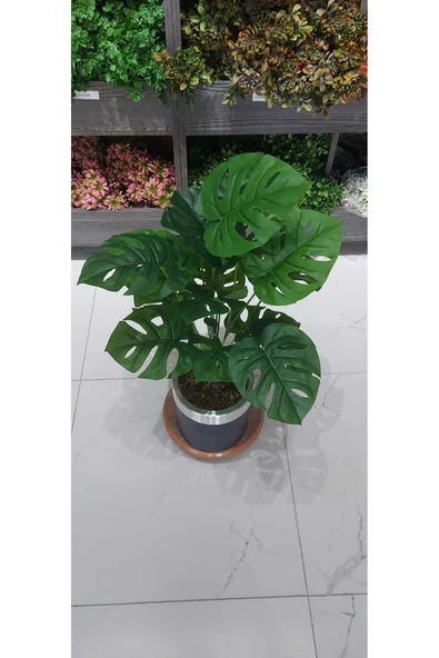 DDPEST Siyah Metal Saksılı 18 Dal Devetabanı Yaprağı Yapay Çiçek Büyük Boy Salon Çiçeği 70-80 Cm-ls - 4