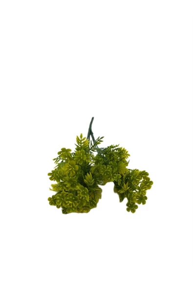 DDPEST Yeşil 5 Dallı Dekoratif Yapay Çiçek 5 Dal Demet Yapay Çiçek 30 Cm-ls - 5
