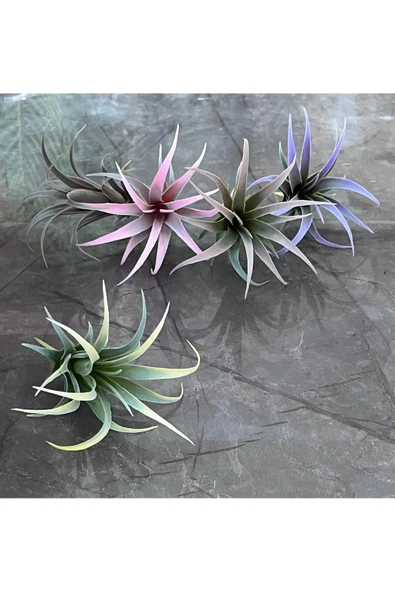 DDTREND Yapay Çiçek Slikon Kaktüs Sukulent Tekli Model No:6 Mor - Resim 2