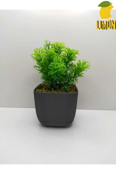 DDPEST Gerçek Taş Yosunlu Mini Kare Saksıda Çim Yeşili Yapay Çiçek Bitki, Masa Çiçeği - Resim 2