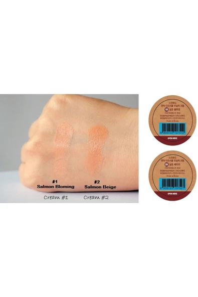 SKINFOOD Salmon Concealer Kapatıcı Krem (01) 10g - 2