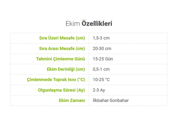 ByKurt Sunagri Maydanoz Tohumu - Geniş Yapraklı Yüksek Aromalı Taze Tüketim İçin İdeal - 4