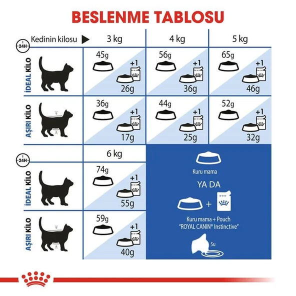 Royal Canin Indoor Ev Kedileri İçin Kedi Maması 2 Kg - 4