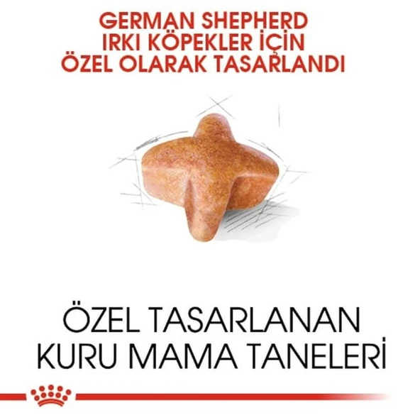 Royal Canin German Shepherd Alman Kurdu Yetişkin Köpek Maması 11 Kg - 3