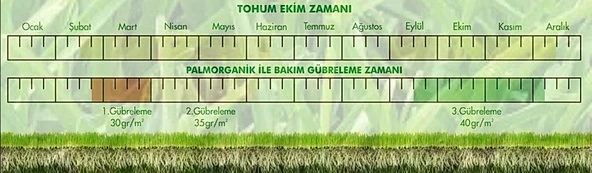 3lü Karışım Çim Tohumu - 4