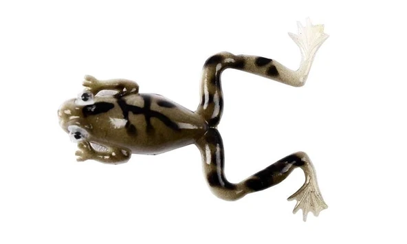 Mutant 3599 Killer Frog 6cm 3'lü Silikon Kurbağa Suni Yem B03 - 3