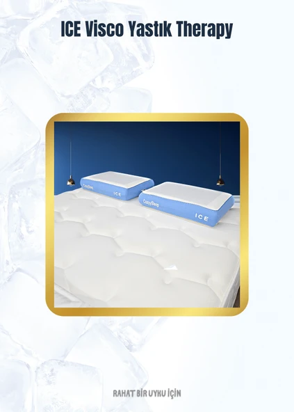 Ice Visco Yastık | Boyun Fıtığı Boyun Düzleşmesi Destekli Lüks Yastık | Taşıma Çantalı - 9