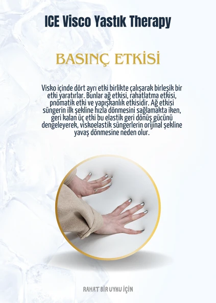 Ice Visco Yastık | Boyun Fıtığı Boyun Düzleşmesi Destekli Lüks Yastık | Taşıma Çantalı - 6