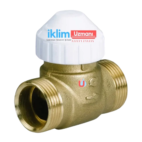 Watts 10001677 3/4" Ø19,5 Platto PN16 VANA