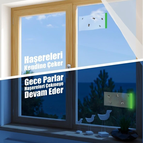 Fosforlu Yapışkanlı Şeffaf Kokusuz Haşere Sinek Kapanı Şerit Bandı 215 mm x 125 mm 10'lu Paket - 6