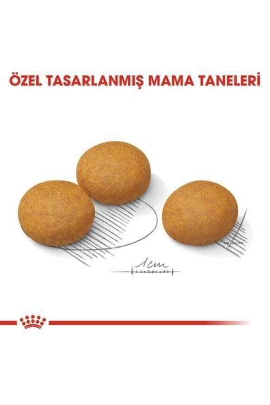 Royal Canin Medium Dermacomfort Yetişkin Köpek Maması 12 Kg - 4
