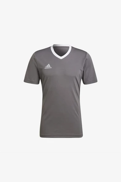 adidas Entrada 22 Jersey HE1574 Gri Erkek Forma