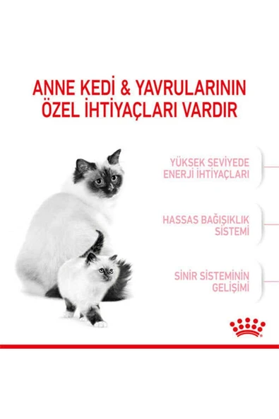 Royal Canin Mother Babycat Kedi Maması 2 kg - 7