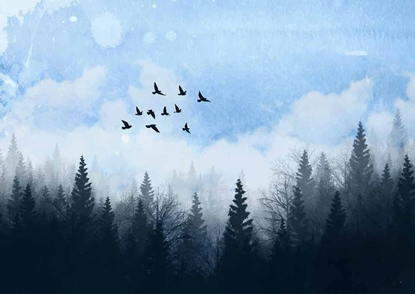Suluboya Orman Kuş Manzara Duvar Kağıdı - Resim 7
