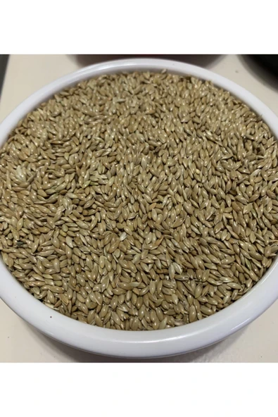 Vivid Sade Kanarya (aspur) 10 Kg