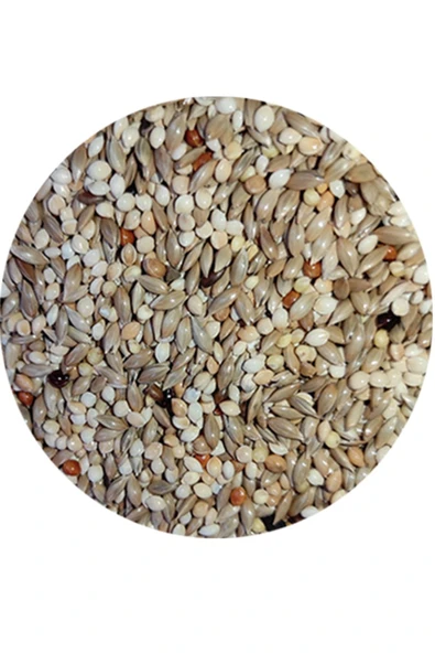 Versele Laga Özel Üretici Kuş Yemi ( %40 Aspur) ( 3 Kg ) (ÖZEL VAKUMLU AMBALAJ)
