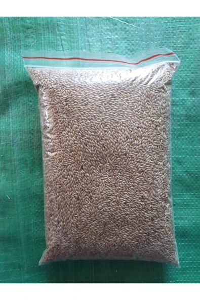 Vitasand Kanarya Kuş Yemi Sade Aspur 1 Kg