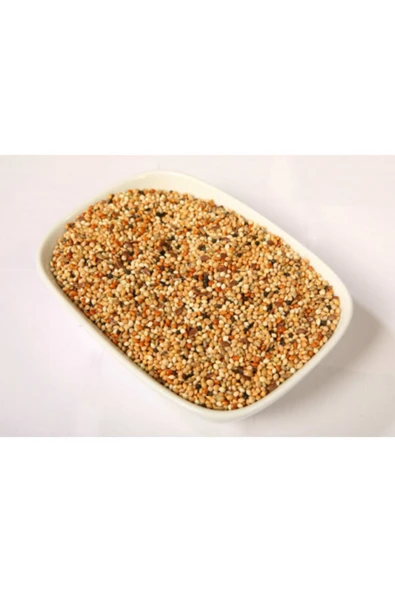 Eslem Tohumculuk Tohumculuk Özel Tohumlu Muhabbet Kuşu Yemi 5 Kg - 3