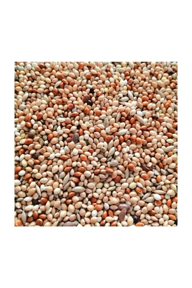 Eslem Tohumculuk Tohumculuk Özel Tohumlu Muhabbet Kuşu Yemi 5 Kg