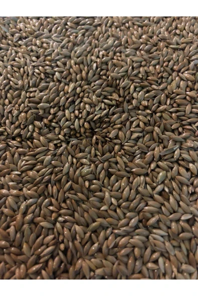 Vivid Sade Kanarya Yemi  Aspur 1 Kg