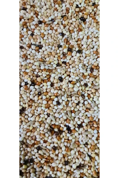Quiko Premium Karışım Muhabbet Kuşu Yemi 1 kg
