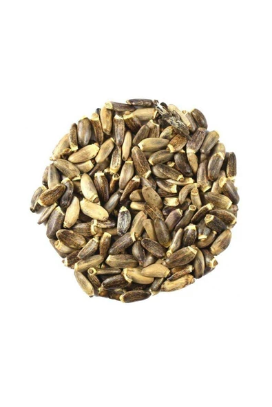 Petdoys Kuşlarınızın Yaşam Kaynağı Mikro Deve Dikeni Tohumu - 250 Gram - 2