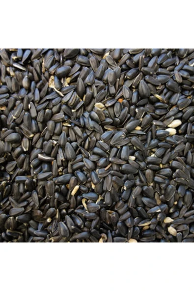 Papağan Çekirdek Yemi 1 Kg Ufak Taneli