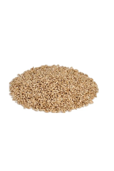 Bambino Aspur Yem 5 Kg