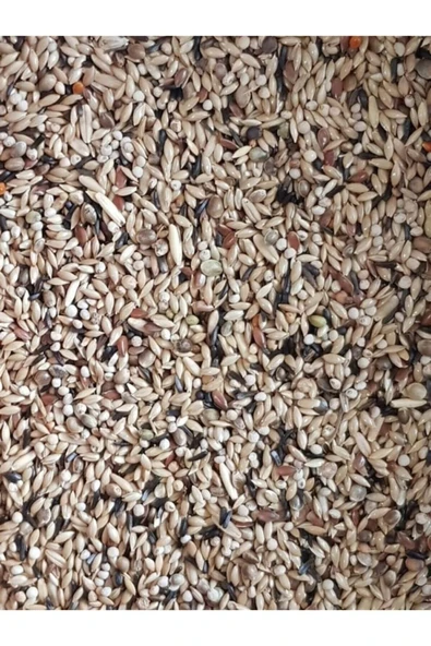 Vivid Kanarya Yemi Karışık 500 Gram