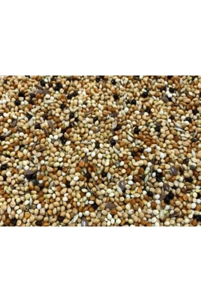 Vivid Bird Vivid Karışık Muhabbet Kuşu Yemi 1 Kg