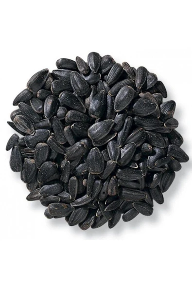 Vivid Siyah Mikro Çekirdek 1 Kg