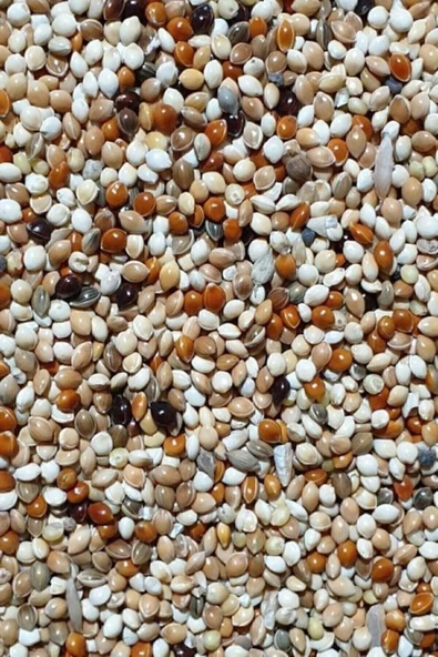 Pupa Kaliteli Lüks Özel Karışık Muhabbet Kuşu Yemi 5 Kg