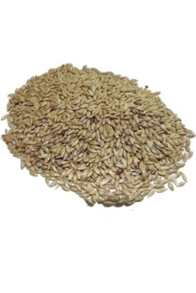 Vivid Bird Aspur Sade Kanarya Yemi ( Elenmiş , Temizlenmiş ) 500 gr (ÖZEL VAKUMLU AMBALAJ)