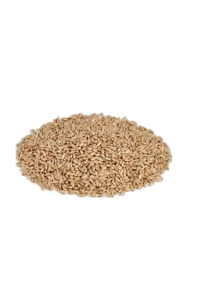 Vivid Sade Kanarya Yemi (Aspur) 1 Kg