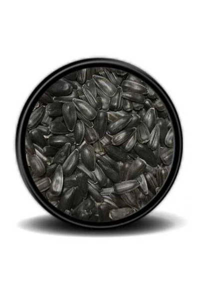 Vivid Bird Paraket Küçük Siyah Çekirdek 500 Gr