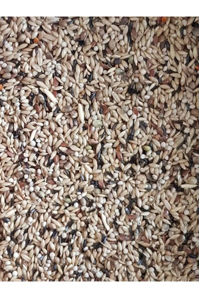 Vivid Kanarya Yemi 1kg